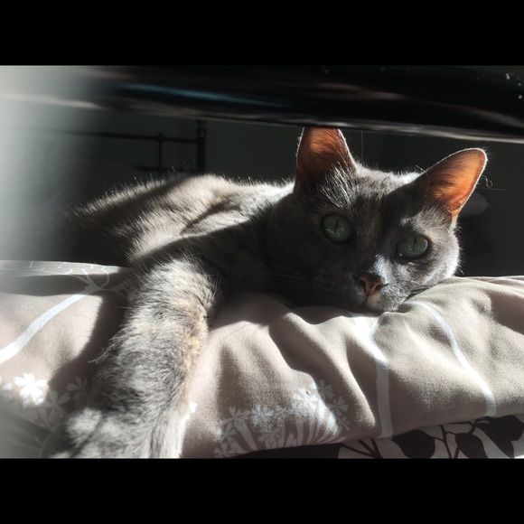 Meet your Posher, Kat - Picture 1 of 1